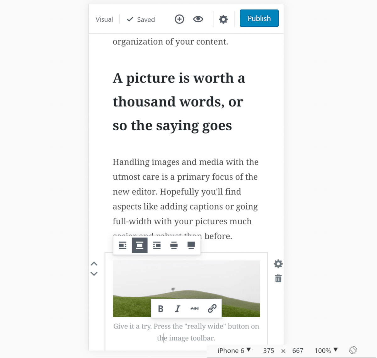 The Gutenberg Editor is easy to use on mobile phones